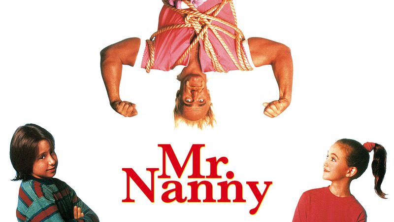 Mr Nanny