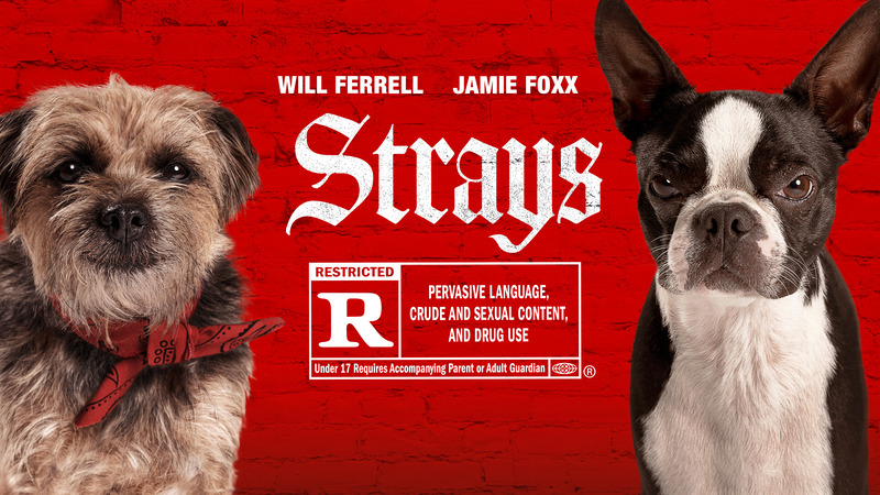 Strays